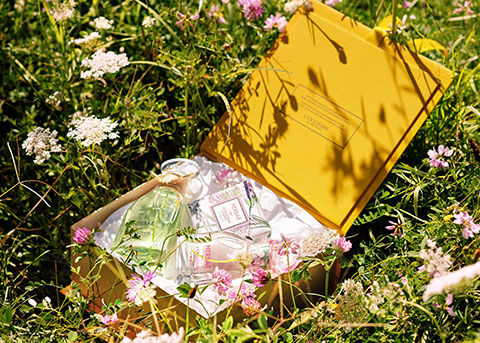 Yellow gift box with Herbae fragrance and soap in field of grass